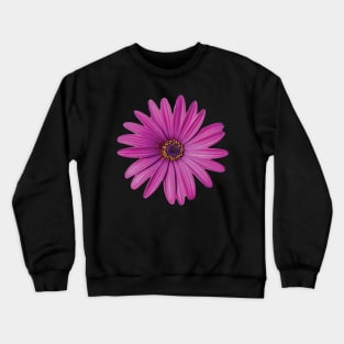 Purple African Daisy Petal Flower Crewneck Sweatshirt